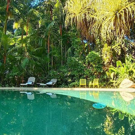 Daintree Rainforest Retreat Motel Εξωτερικό φωτογραφία