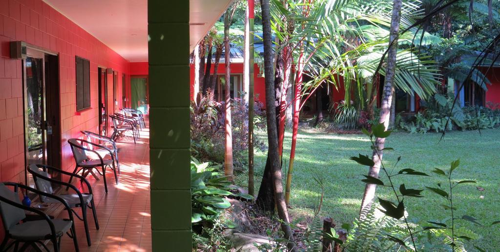 Daintree Rainforest Retreat Motel Εξωτερικό φωτογραφία