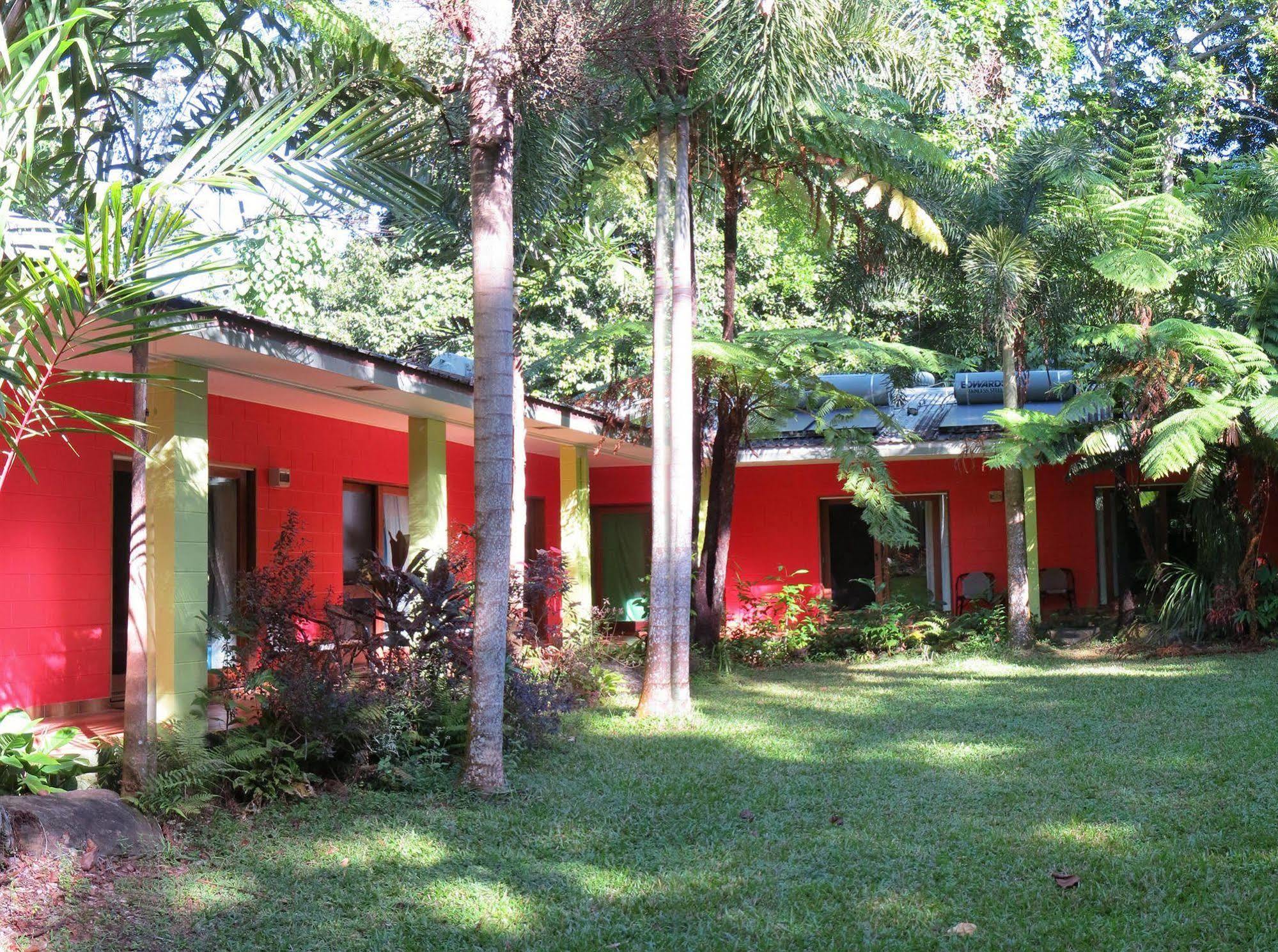 Daintree Rainforest Retreat Motel Εξωτερικό φωτογραφία
