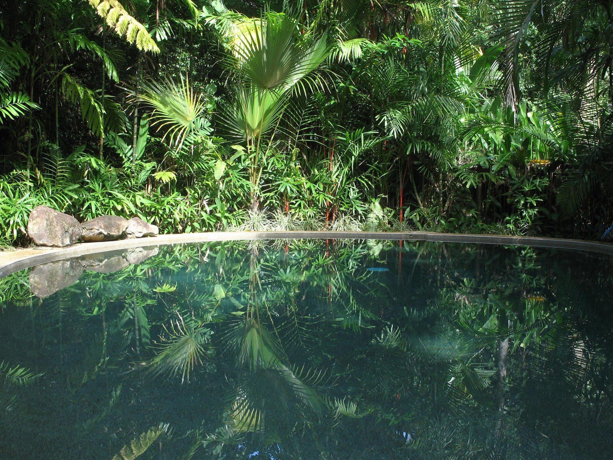 Daintree Rainforest Retreat Motel Εξωτερικό φωτογραφία